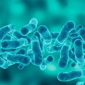 Richiesta informazioni - Rischio legionella