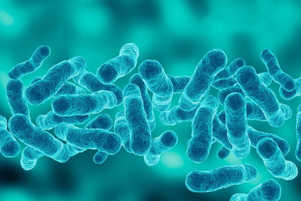 Rischio legionella