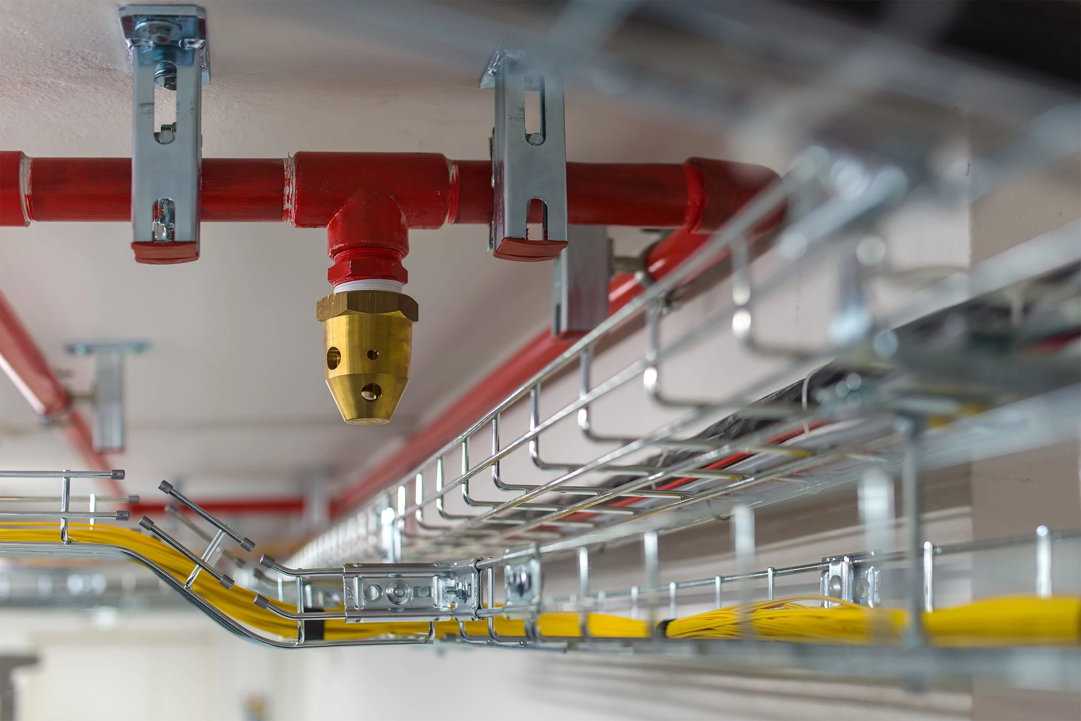 Sprinkler system and cable trays under the ceiling 2026 03 18 06 43 32 utc